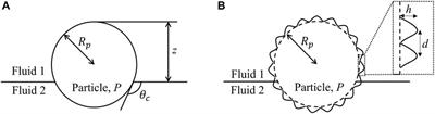 Rough colloids at fluid interfaces: from fundamental science to applications